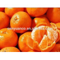 Diosmetina CAS #: 520-34-3 Citrus Limon Peel Extract 98% Diosmetina